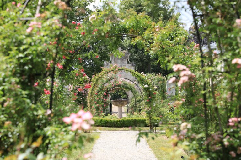 Domain de Chaalis la roseraie au printemps