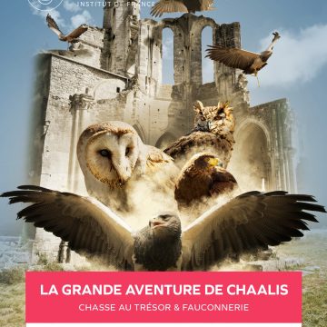 Spectacle de fauconnerie – La Grande aventure de Chaalis Rapaces en vol et histoire vivante : Chaalis se raconte à travers un spectacle unique au cœur des ruines. De Louis VI à Nélie Jacquemart-André, plongez dans 25 min d’évasion historique. Mer. à dim., à 11h et 15h. Chasse au trésor – Le Trésor de Jupiter Une légende, un trésor caché par un abbé descendant d’Hercule… Suivez les plumes d’or et résolvez les énigmes ! Tous les jours, en continu de 10h à 18h. Durée : 1h env.